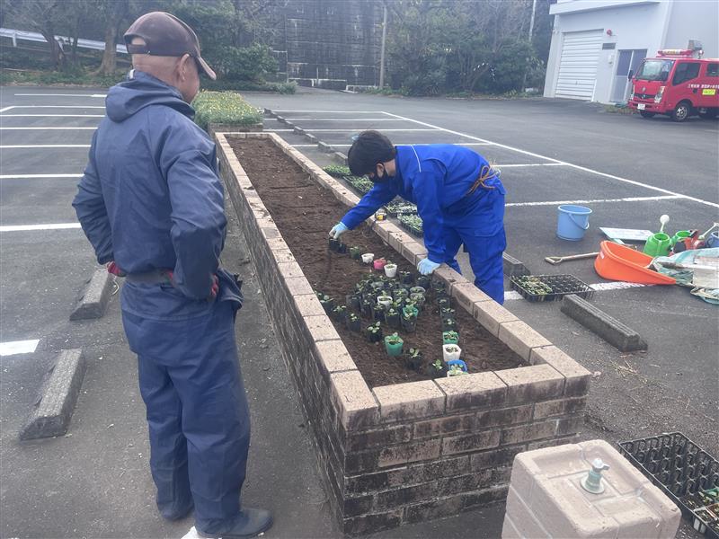 Image - 2025-11-19T174546.186